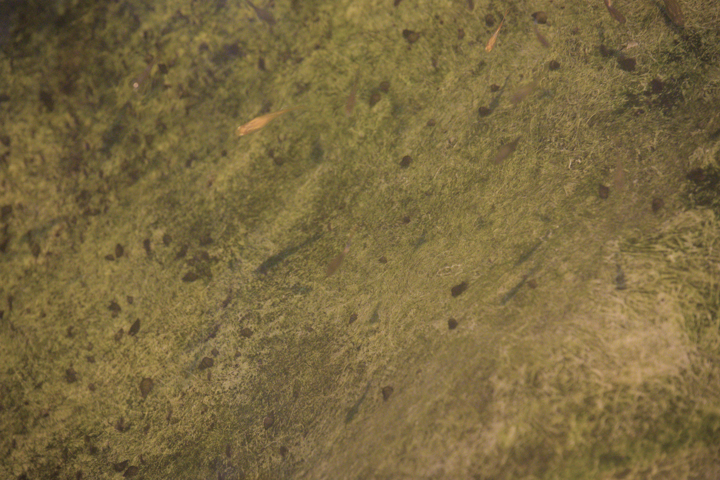 2025/10/12 - zoo/DSC_0160.jpg